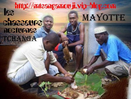 bienvenue sur Mayotte976