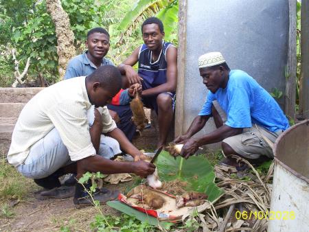 les chasseurs nocturne � tchanga